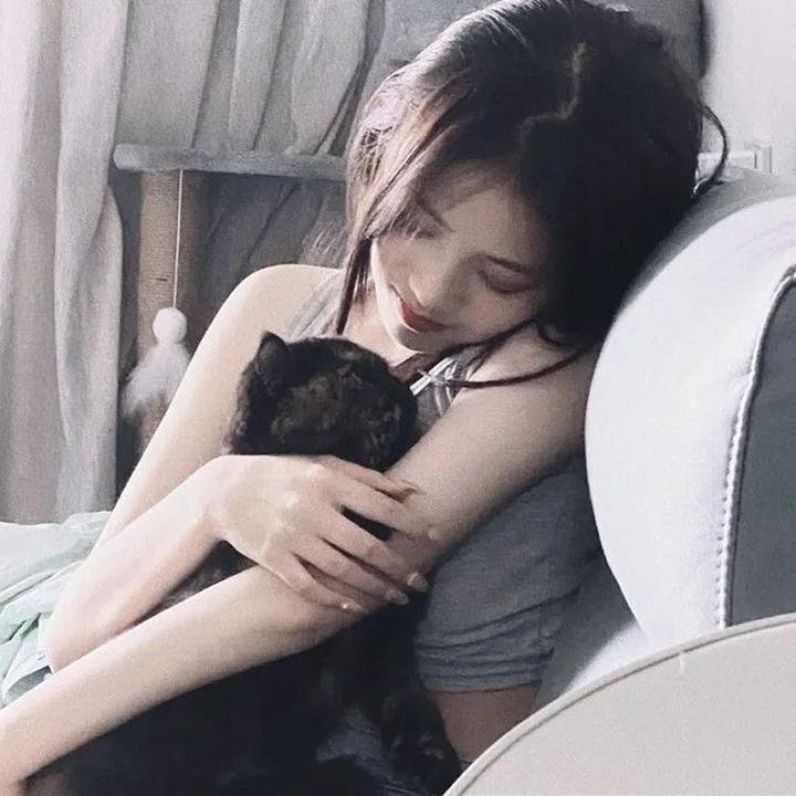 明星经纪人生存记 在线观看