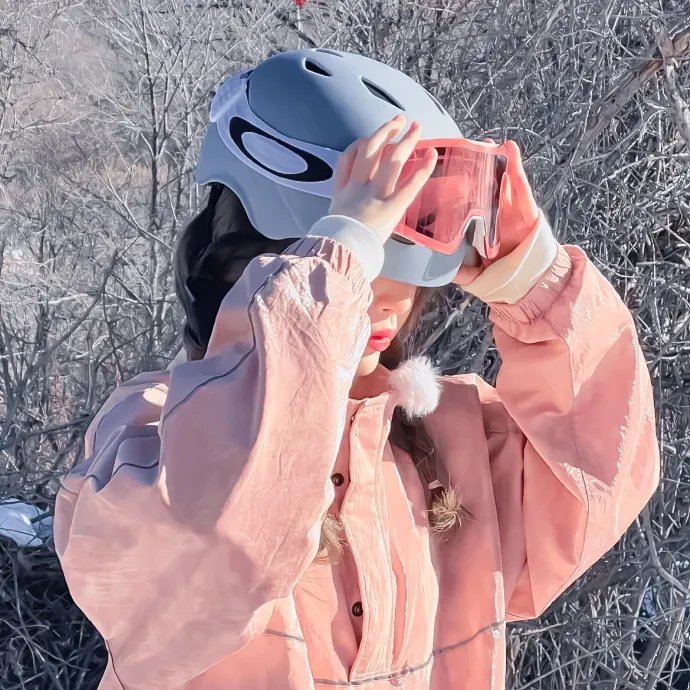 征服太阳 在线观看